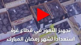استعدادا لشهر رمضان.. تجهيز أنواع مختلفة من التمور في غزة