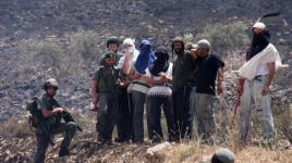 مستوطنون يعتدون على منازل المواطنين  في قرية مادما جنوب نابلس