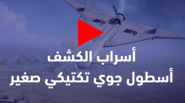 أسراب الكشف .. أسطول جوي تكتيكي صغير