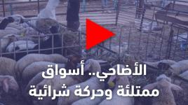 الأضاحي.. أسواق ممتلئة وحركة شرائية ضعيفة بغزة