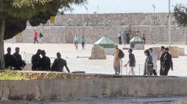 مستوطنون يقتحمون باب الأسباط في القدس المحتلة