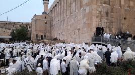 ️ مئات المستوطنين حول المسجد الإبراهيمي وسط الخليل
