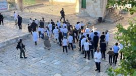 مستوطنون متطرفون يواصلون اقتحام المسجد الأقصى المبارك