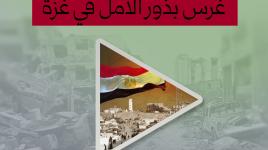 بأيدي مصرية .. غرس بذور الأمل في غزة