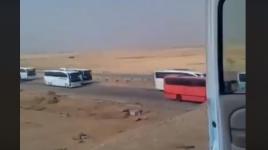 .. حافلات حجاج قطاع غزة أثناء توجههم إلى مكة المكرمة