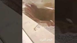سيول الاردن تجرف الحجر والبشر
