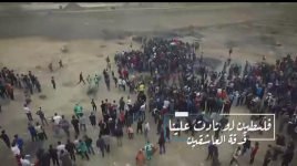 فلسطين لو نادت علينا