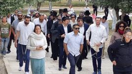 #فيديو: 334 مستوطنًا متطرف اقتحموا ساحات المسجد الأقصى