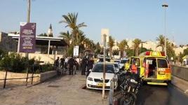 عملية الطعن البطولية في باب العامود...