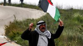 في يوم الأرض.. باقون ما بقي الزعتر والزيتون