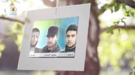 فاصل الشهيد حسن شقورة