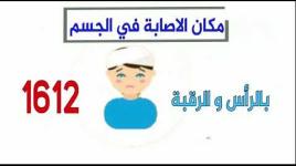 إحصائية وزارة الصحة في غزة لاعتداءات قوات الاحتلال على مسيرات العودة...