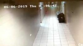 شاهد| الاعتداء على فني أشعة بمستشفى عالية بالخليل - - - 