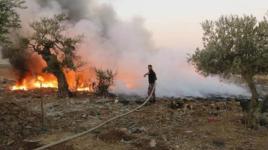 لقطات جوية لحرائق الغابات بأستراليا 