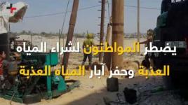 #شاهد || مياه غزة لا تصلح للبهائم!!