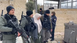 الاحتلال يعتقل شابة فلسطينية بالقدس المحتلة بزعم محاولتها تنفيذ عملية طعن