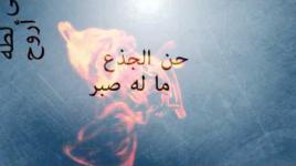حبيب الروح