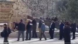 وزير زراعة الاحتلال يوري ارئيل وعدد من المستوطنين يقتحمون باحات المسجد الأقصى