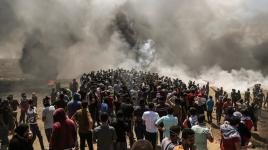 يلا امشوا معانا على فلسطين