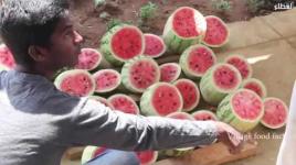 شاهد ماذا فعل هذا الهندي بكل هذا البطيخ