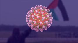 يوم الأرض في زمن الكورونا 