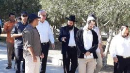  وزير إسرائيلي يقود اقتحامًا استفزازيًا للمسجد الأقصى ويؤدي طقوس تلمودية