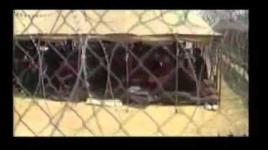 اغنية عوفر والمسكوبية والسجن الي بالصحراء