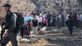 شاهد اقتحام مئات المستوطنين لباحات المسجد الاقصى 