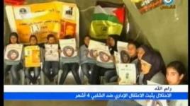 الاسيرة هناء شلبي وقد دخلت اليوم 31 من معركة الامعاء الخاوية