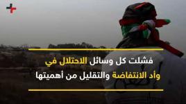 انتفاضة مستمرة.. بدأها المهند ويكملها النمر