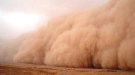 84dust-storm-mohammed