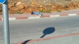 شهيد زعترة