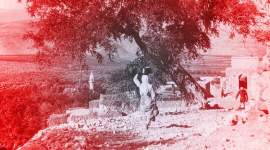 النكبة