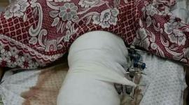 عماد الطويل