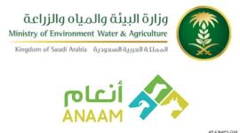تسجيل الدخول في برنامج دعم صغار مربي الماشية
