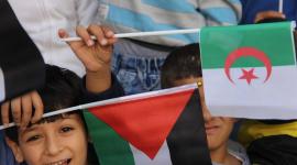  الجزائر وفلسطين