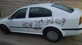 مستوطنين