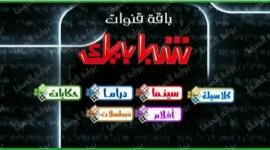 تردد قناة شبابيك