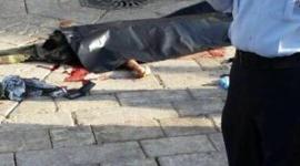 عمليات الاعدام خطة اسرائيلية اتضحت معالمها