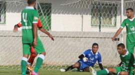 اتحاد الشجاعية