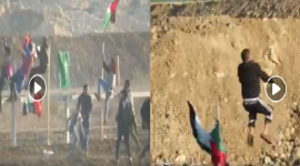 السياج الزائل