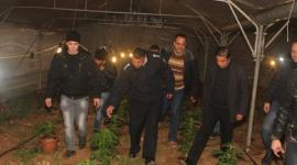 صورة من الأرشيف 