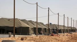 سجن النقب