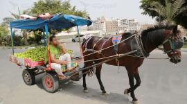 باعة تجولون في شوارع قطاع غزة (صورة من الأرشيف)