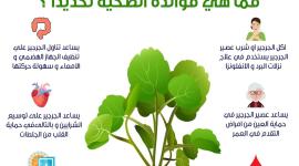 فوائد الجرجير.jpg