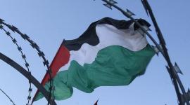 حراك ديمقراطي فلسطيني.jpg