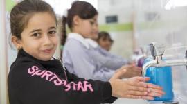 كورونا غزة.jpg