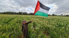 الهيئة الوطنية العليا لمسيرات العودة في قطاع غزة تحيي ذكرى يوم الأرض شرق ملكة (14).jpeg