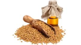 بذور الحلبة.jpg