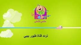طيور بيبي.jpeg